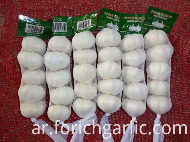 Pure White Garlic